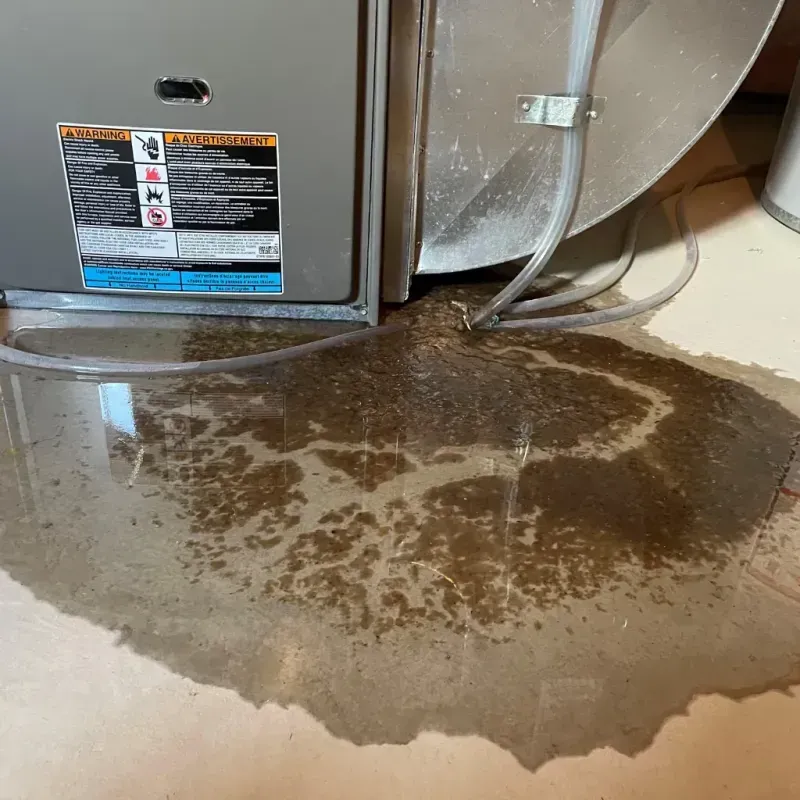 Appliance Leak Cleanup in Stanton, MI